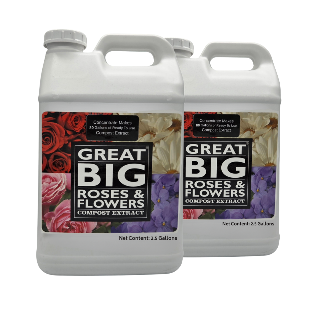 Great Big Roses & Flowers