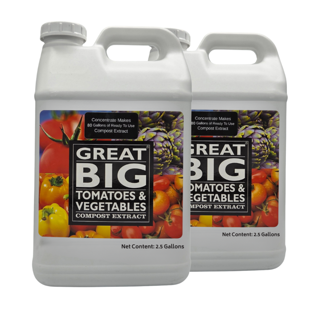 Great Big Tomatoes & Vegetables