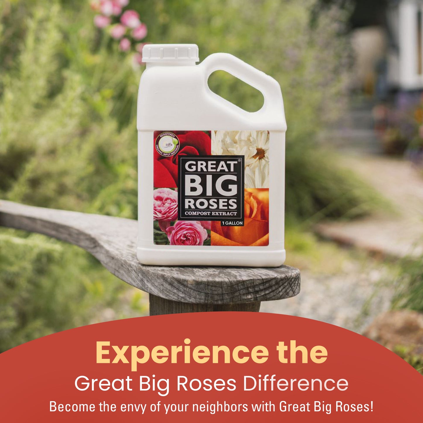 Great Big Roses