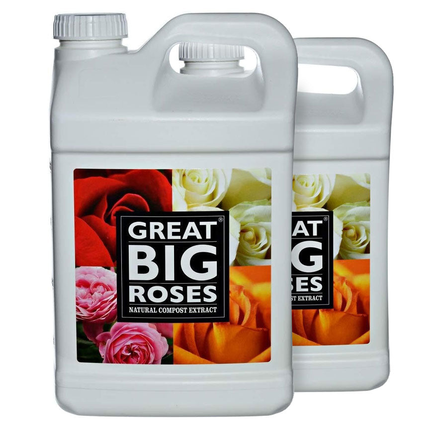 Great Big Roses