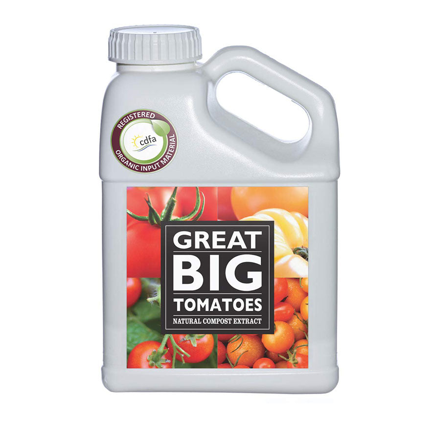 Great Big Tomatoes