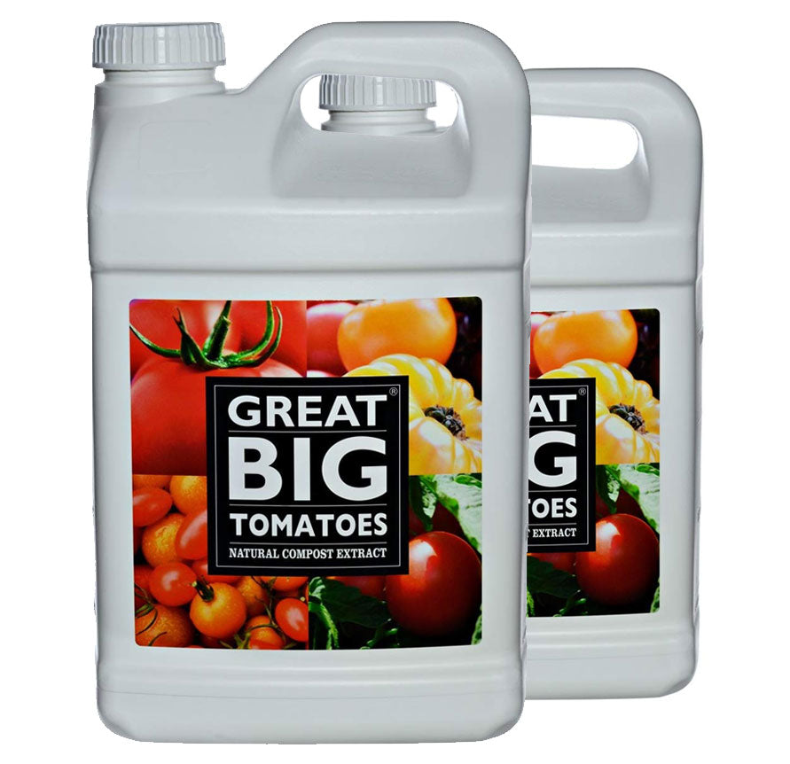 Great Big Tomatoes