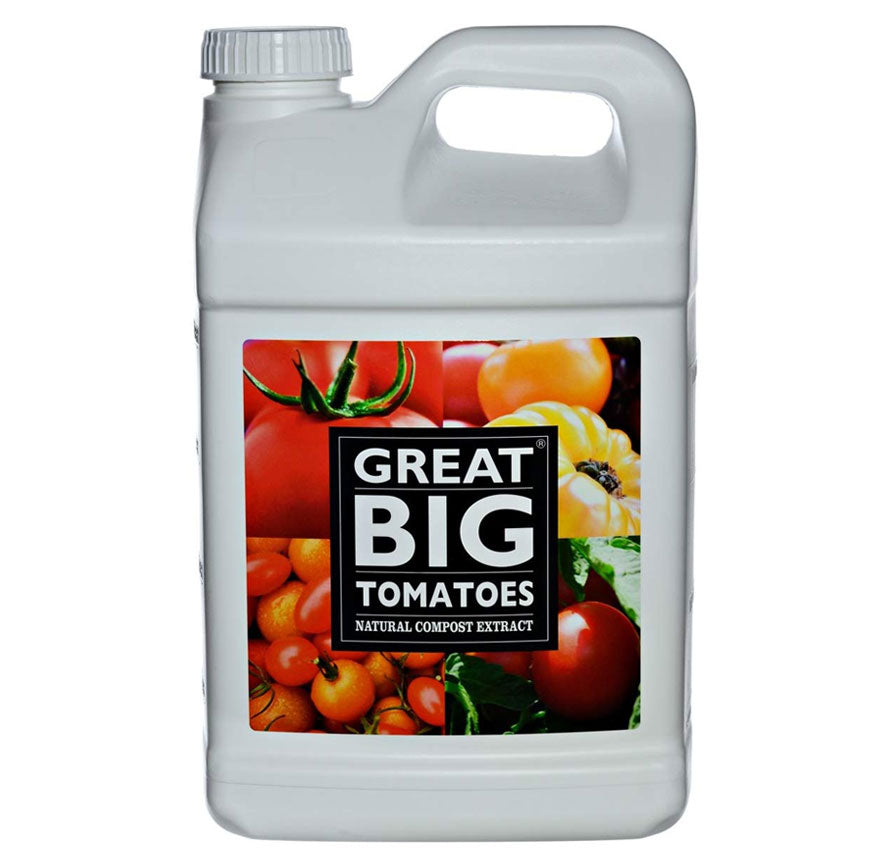 Great Big Tomatoes