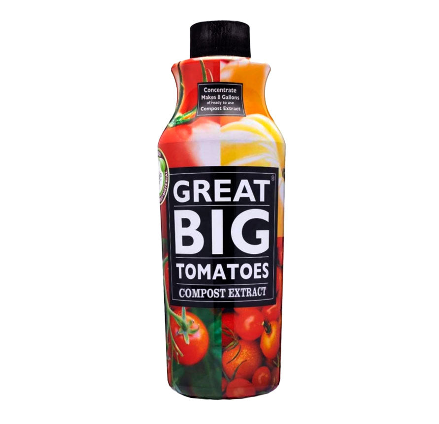 Great Big Tomatoes