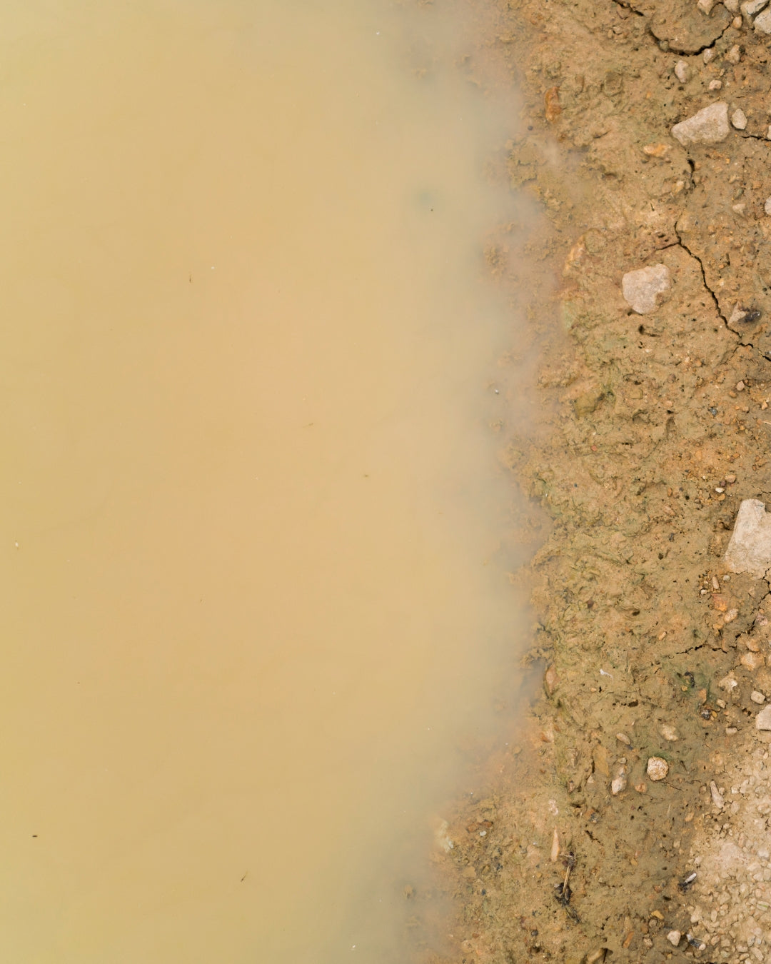 Hydrophobic Soil & How to Fix It