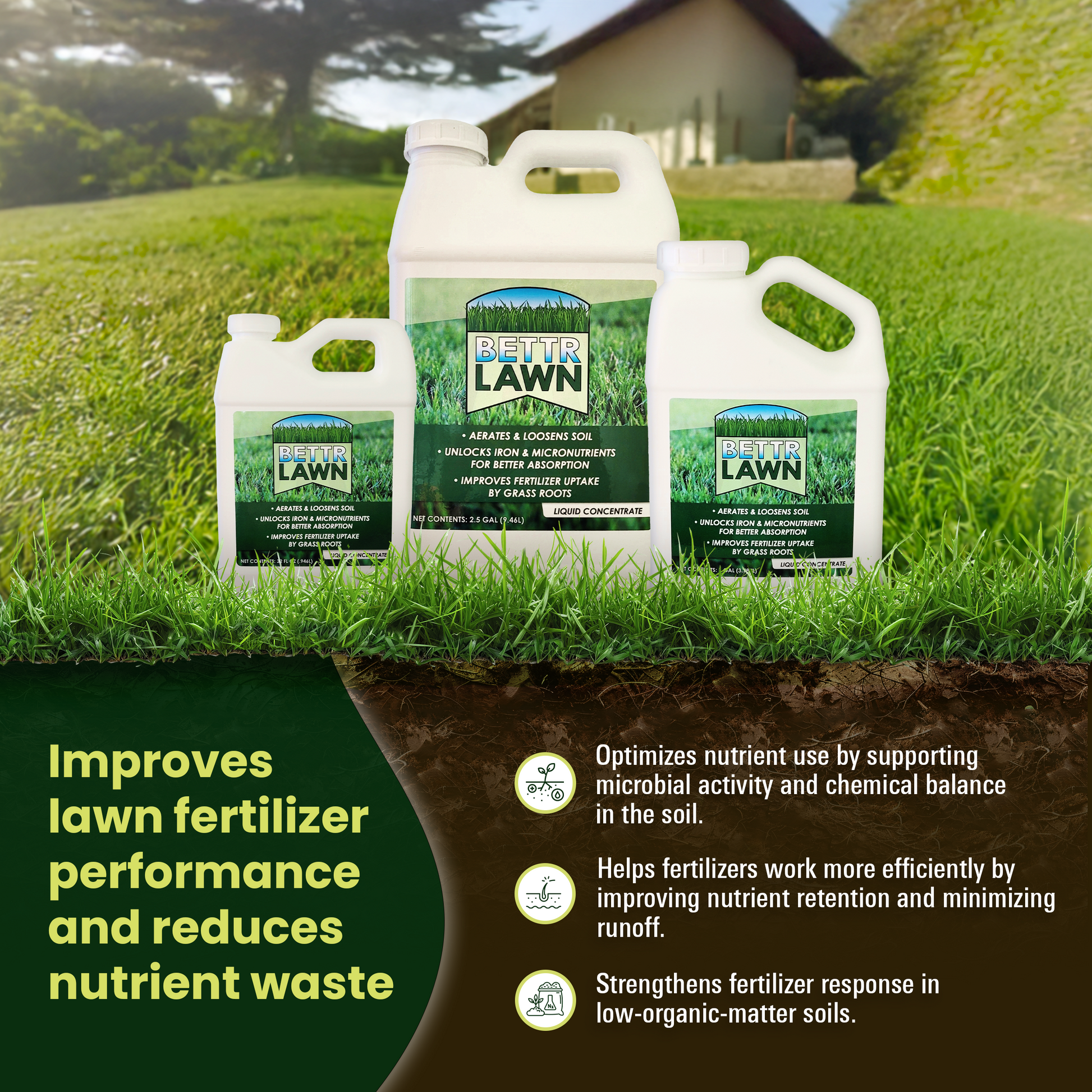 best organic liquid lawn fertilizer Bettr Lawn – Great Big Plants