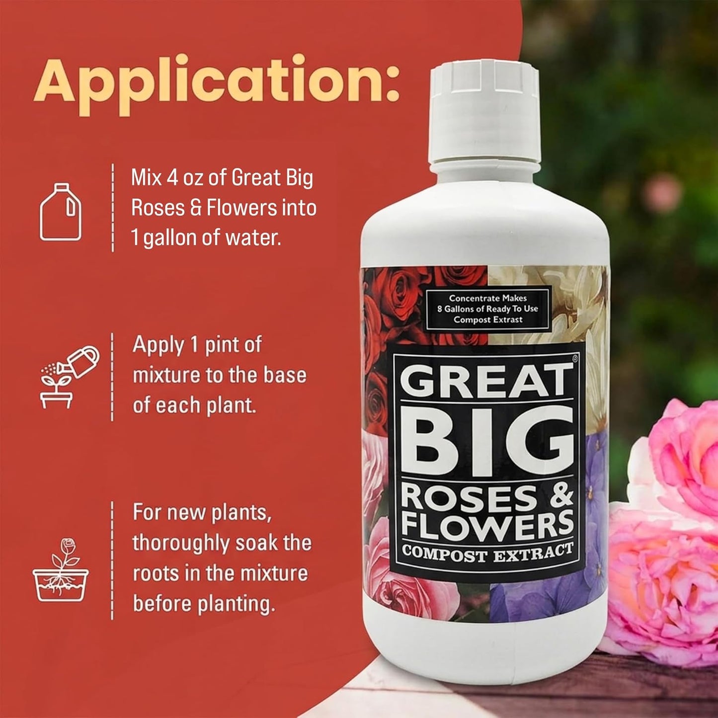 Great Big Roses & Flowers – Great Big Plants