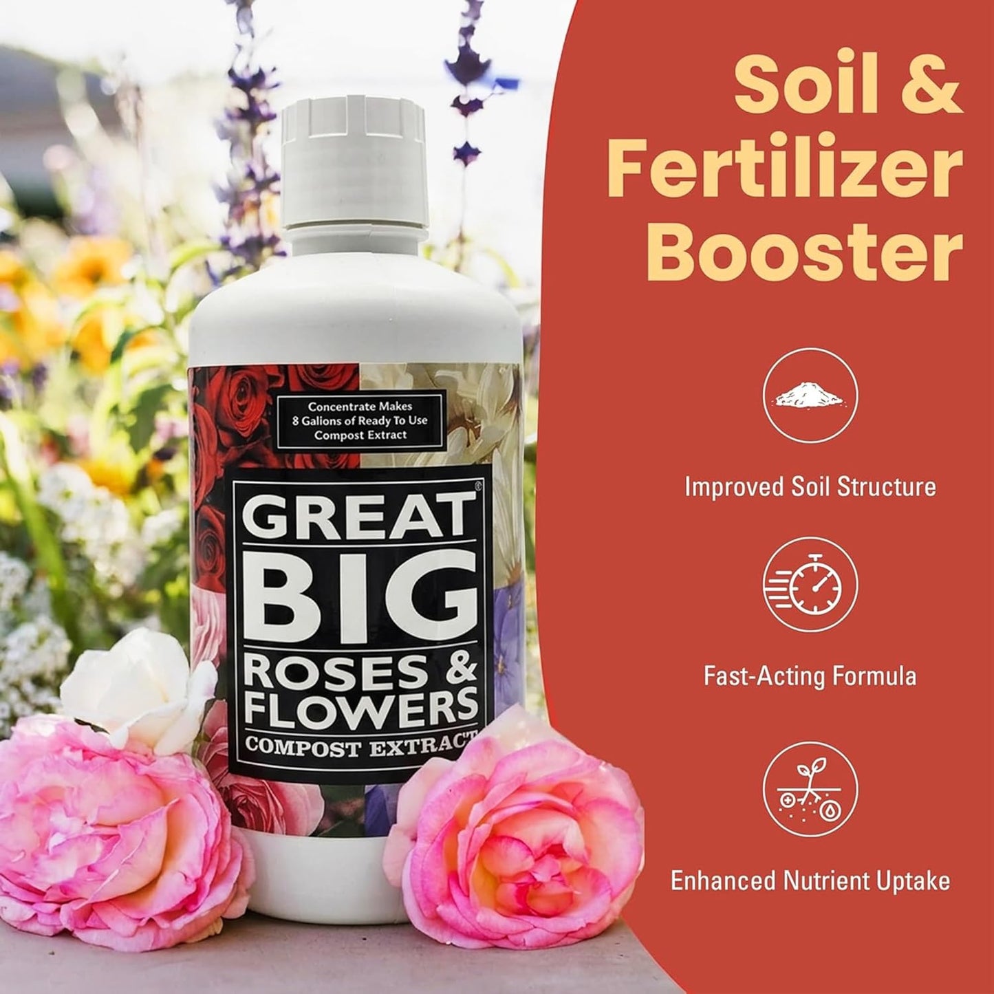 Great Big Roses & Flowers