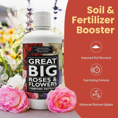 Great Big Roses & Flowers
