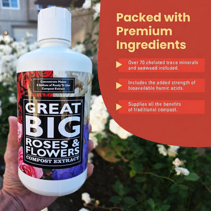 Great Big Roses & Flowers