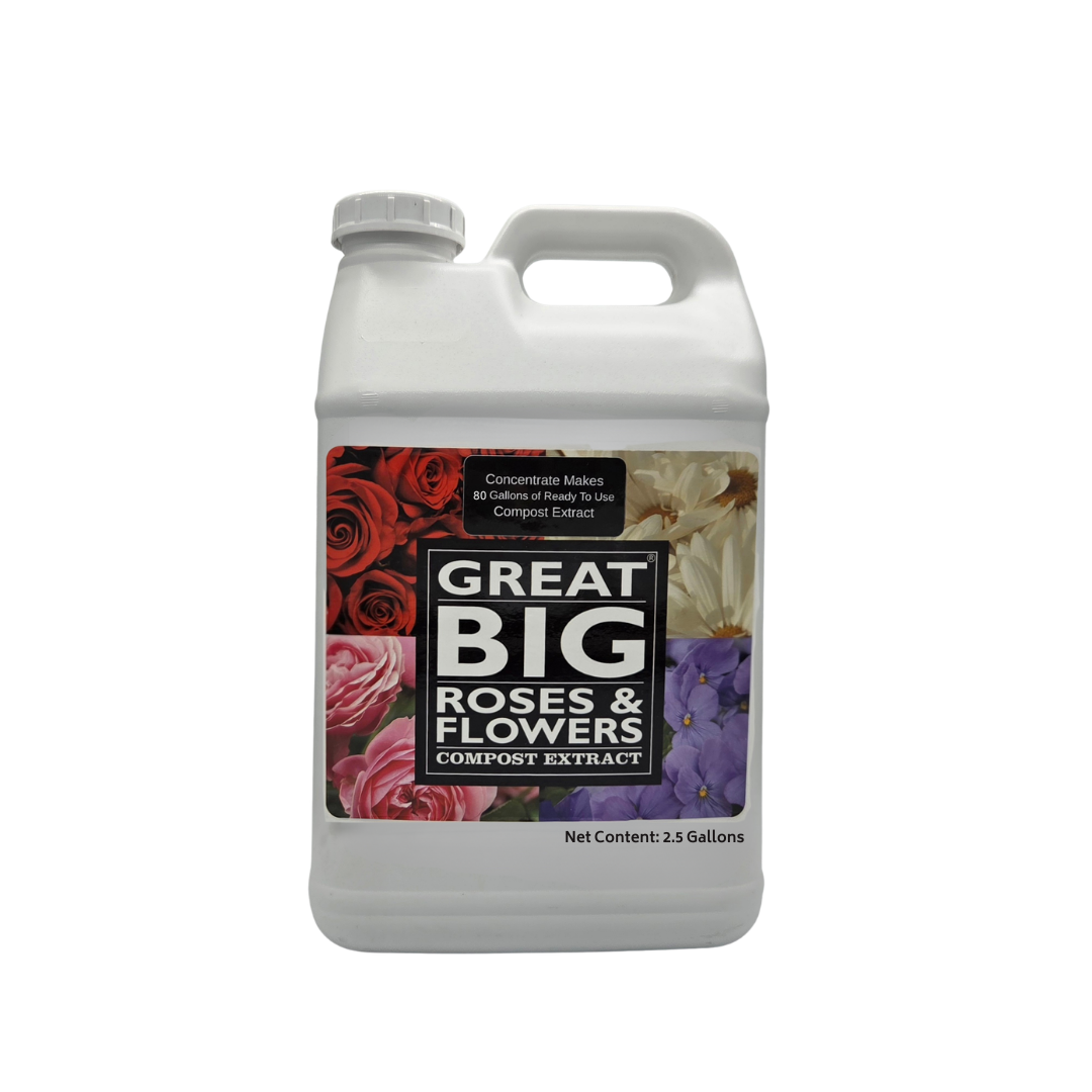 Great Big Roses & Flowers