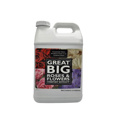 Great Big Roses & Flowers