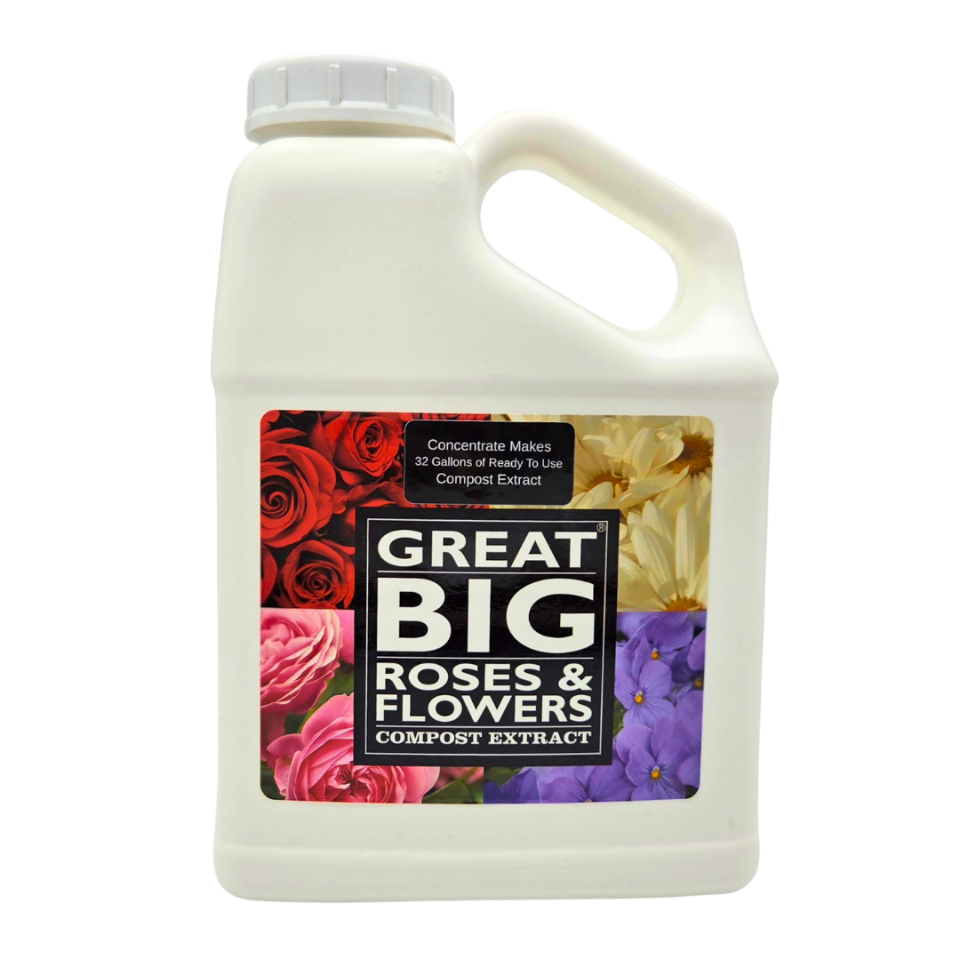Great Big Roses & Flowers