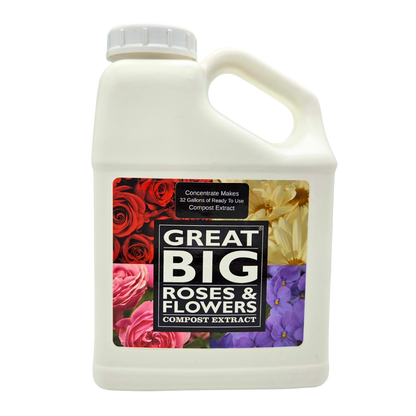 Great Big Roses & Flowers