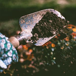 What Are The Benefits Of Using Compost